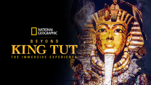 Beyond KING TUT, The Immersive Experience.